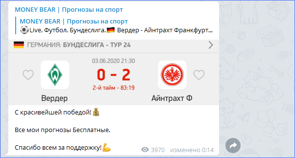 Выигранное пари Money Bear