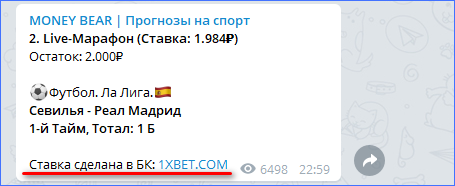Прогноз Money Bear