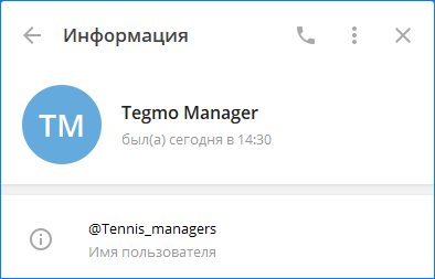 Профиль для связи в мессенджере