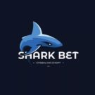 Shark Bet: обзор и отзывы о проекте
