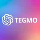 Tegmo bot: обзор проекта и отзывы клиентов