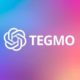 Tegmo bot: обзор проекта и отзывы клиентов