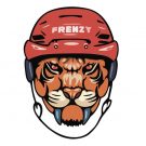 Hockey Frenzy: отзывы на телеграмм каппера с прогнозами на спорт