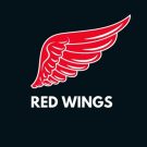 Red Wings(каппер): отзывы на телеграмм канал. Мошенник? Обзор