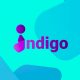 Indigo Bot: телеграмм бот с продажей прогнозов на спорт и обзор проекта
