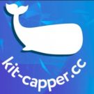 Kit Kapper: форум для любителей ставок, отзывы о нем в сети